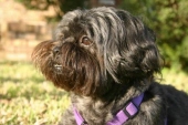 princess esparza